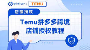 temu erp常用的拼多多TEMU跨境ERP系统