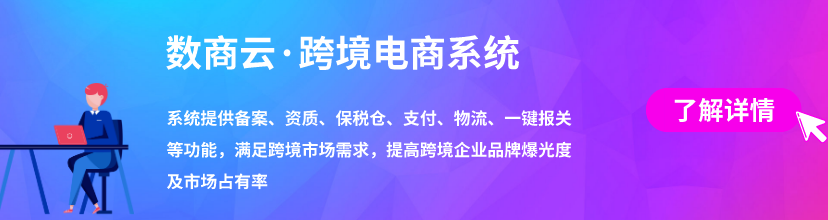 跨境电商平台搭建之站内站外营销