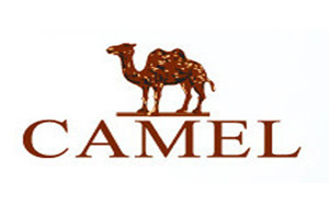 骆驼/CAMEL