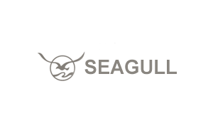 海鸥/SEAGULL