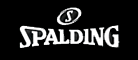 斯伯丁/Spalding